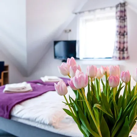 顾希尼克帕西左拉克酒店