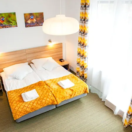 Ulubiona - Dawniej Gosciniec Ptasi Zaulek 4* 尼彻兹
