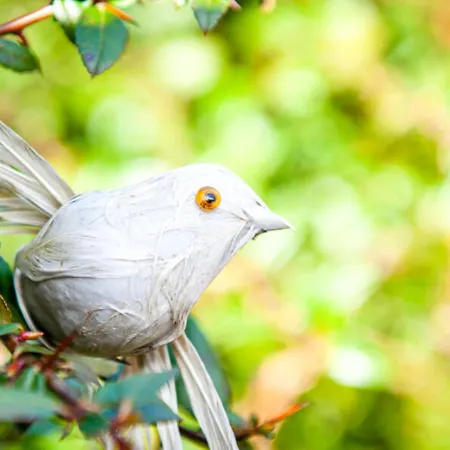 Bed & Breakfast Gosciniec Ptasi Zaulek 4*