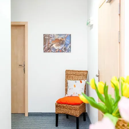 顾希尼克帕西左拉克酒店