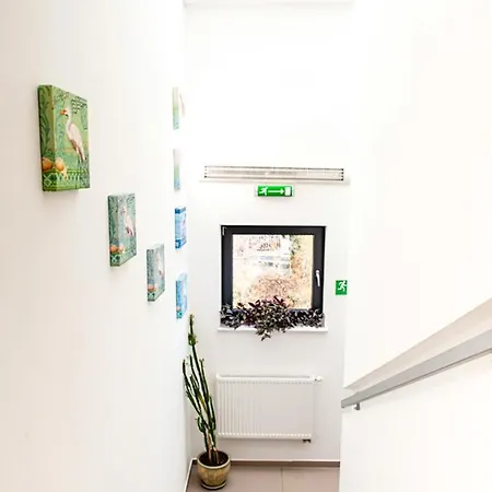 顾希尼克帕西左拉克酒店 4*